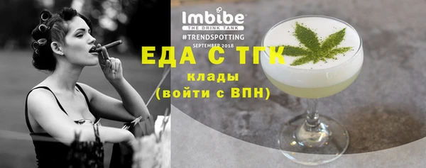 индика Саяногорск