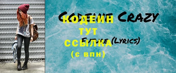 индика Саяногорск